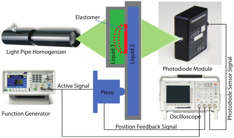 Figure 6