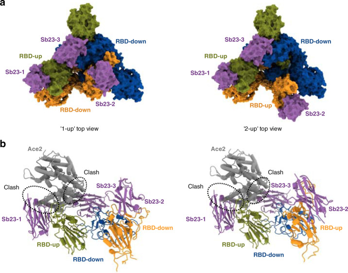 Fig. 6