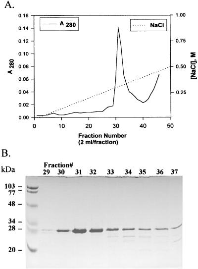 FIG. 7