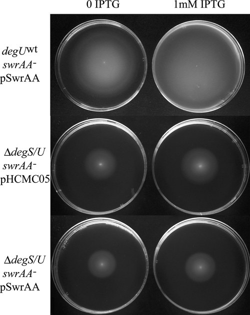 FIG. 8.