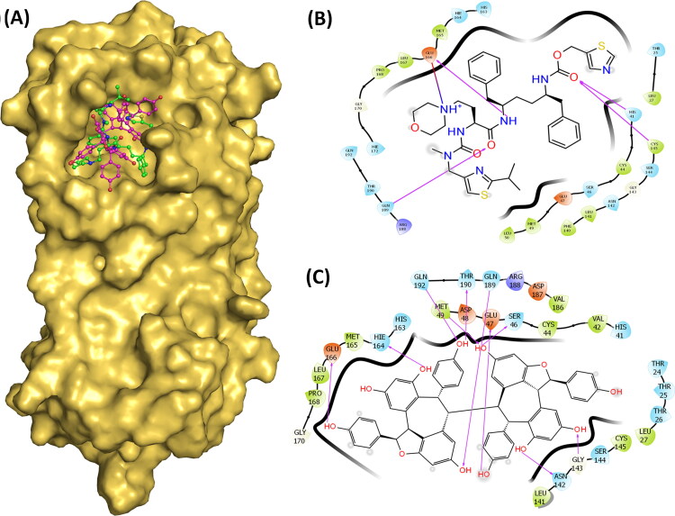 Figure 3.