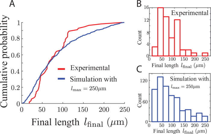 Figure 3—figure supplement 1.