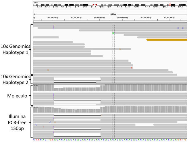 Figure 2: