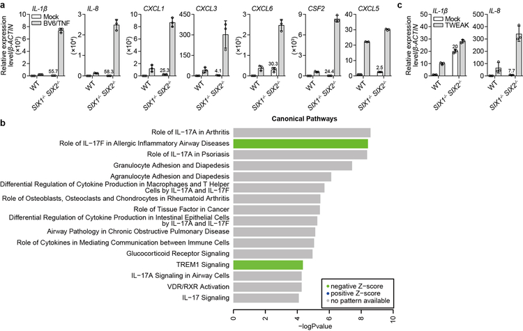 Extended Data Fig. 10