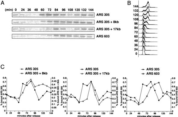 Figure 5.