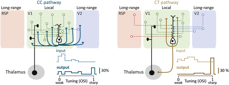 Figure 7