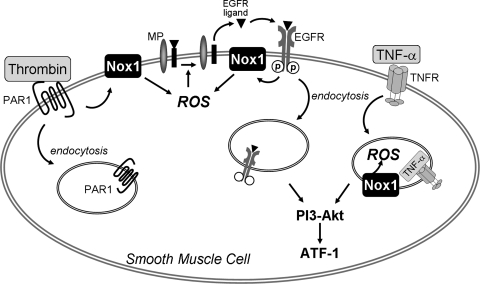 FIG. 6.