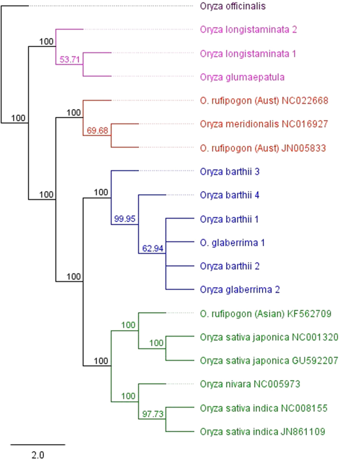 Figure 2