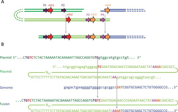 Figure 5