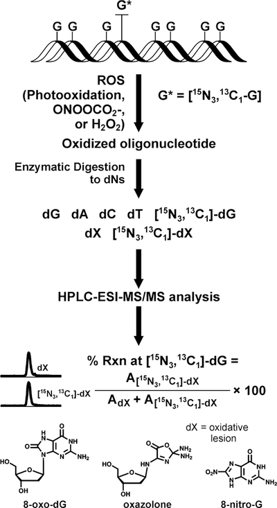 Scheme 1.