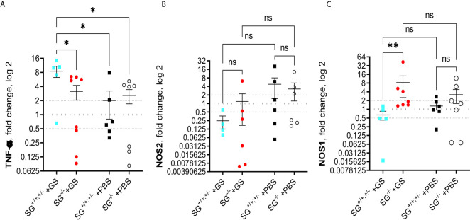 Figure 4