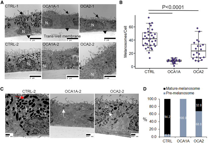 Figure 2