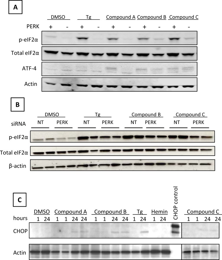 Fig 5