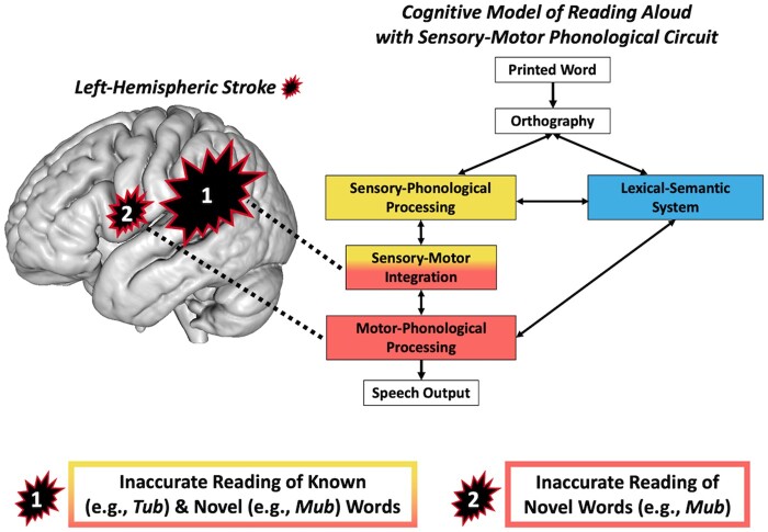 Graphical Abstract