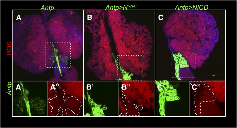 Figure 12