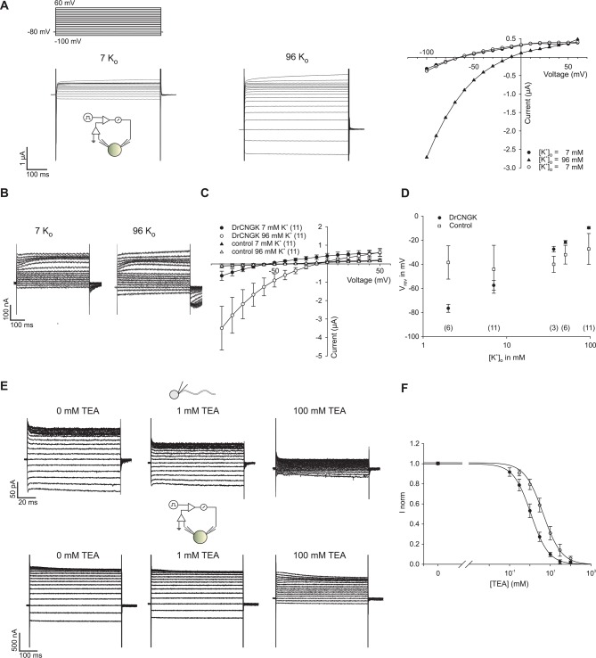 Figure 3—figure supplement 1.