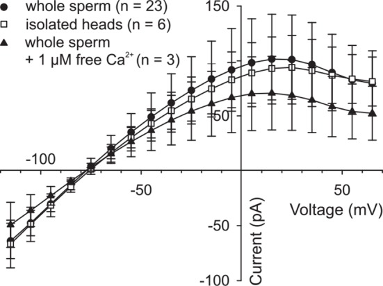 Figure 5—figure supplement 2.