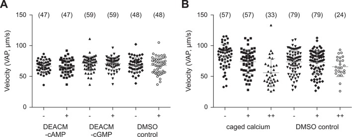 Figure 3—figure supplement 4.