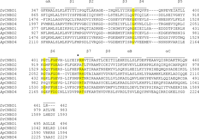 Figure 3—figure supplement 2.