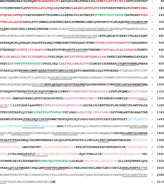 Figure 1—figure supplement 1.