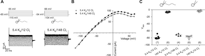 Figure 1—figure supplement 3.