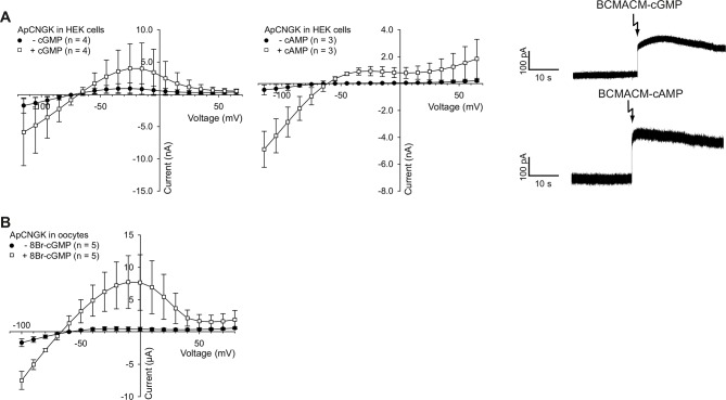 Figure 3—figure supplement 3.