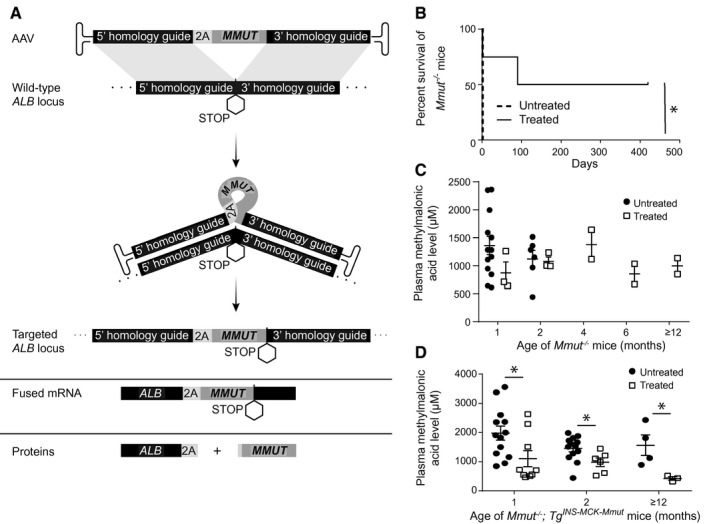 FIG. 1