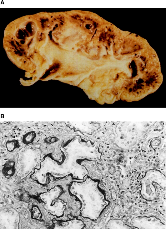 Figure  3