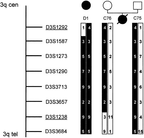 Figure  4