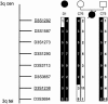 Figure  4