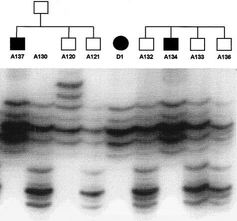 Figure  5