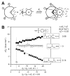 Figure 30