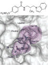 Figure 22