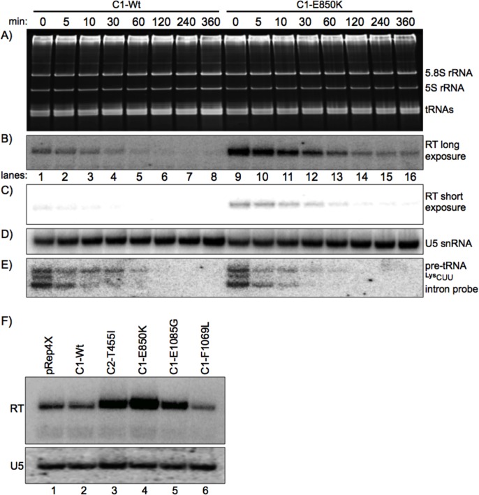 Fig 10