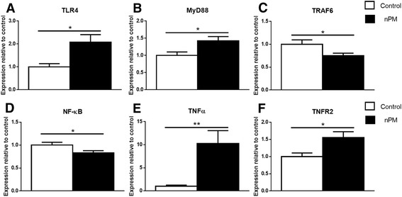 Fig. 11