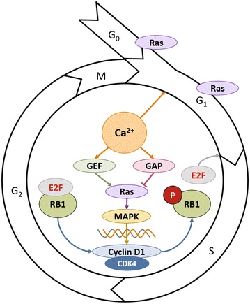 Fig. 2