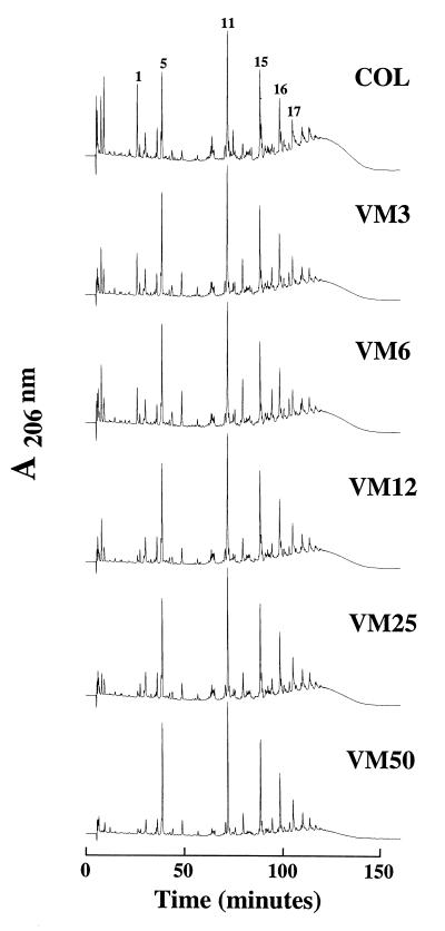 FIG. 5