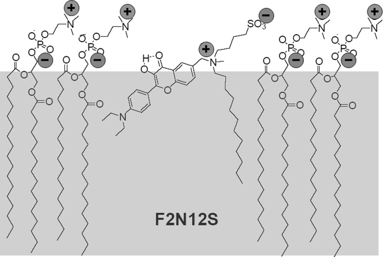 Fig. 6