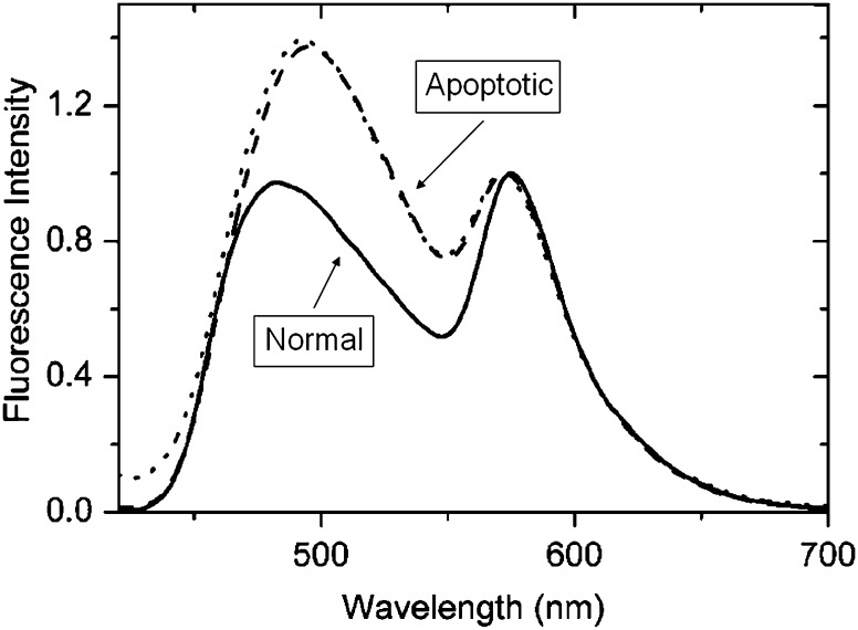 Fig. 7