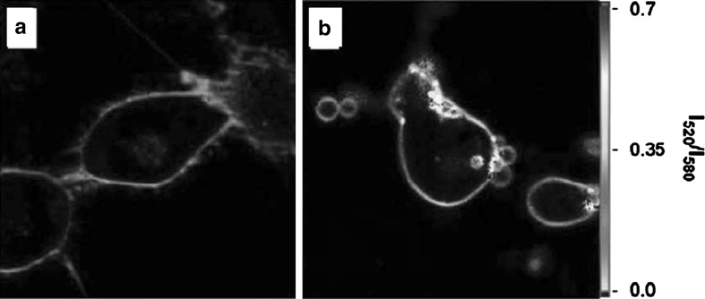 Fig. 8