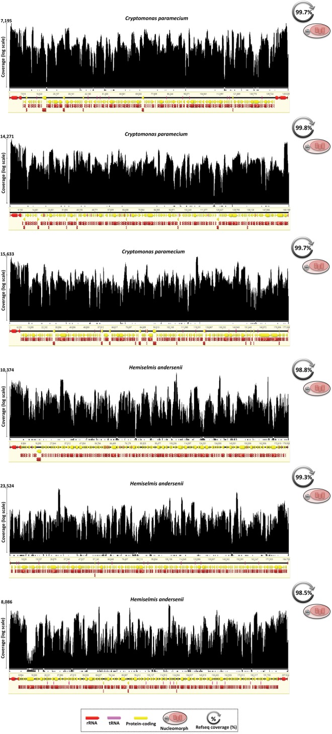 Fig. 3.