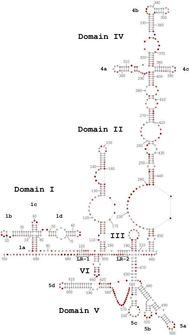 FIG 2