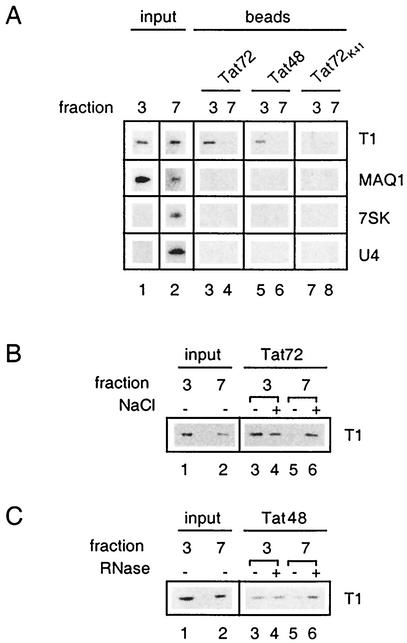 FIG. 8.