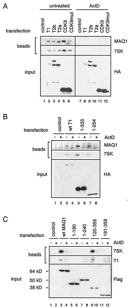 FIG. 5.