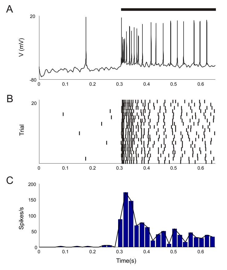 Figure 2