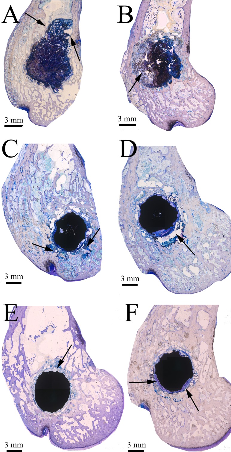 Fig. 5