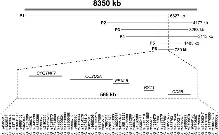 Figure 2