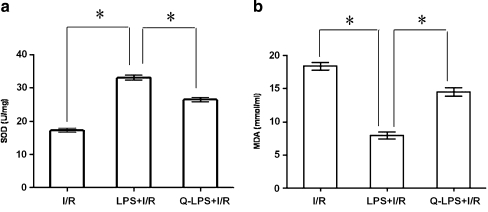 Fig. 7