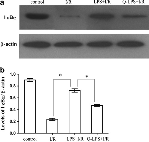 Fig. 6