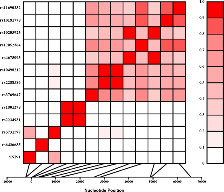 FIG. 2.